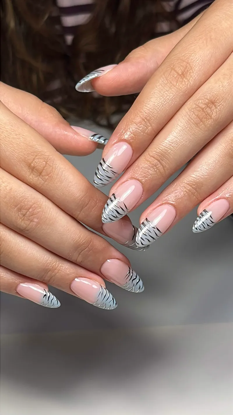 French zèbre gris-bleu et lignes argentées